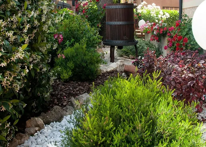 Bed & Breakfast Le Bassotte